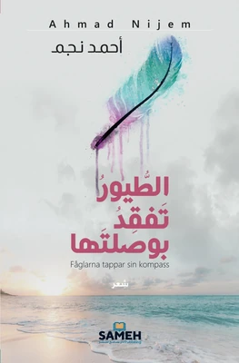 غلاف كتاب الطيور تفقد بوصلتها